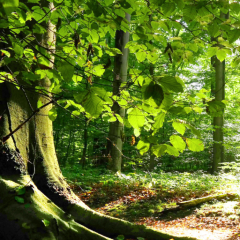 E-girls・UVERworld好きな人からも❗愛知