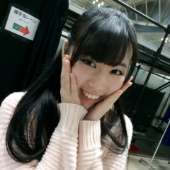 へっぽこ丸(のろりん軍所属)