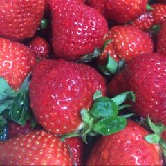 ヒマ〜（；￣ェ￣）