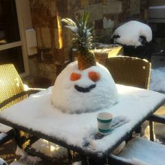 映画すきドラマすきさん教えてください