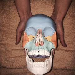 アジアントール伊集院