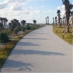 沖縄 国際通りにいるひとー！