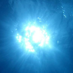 海の中は別世界(^-^)v