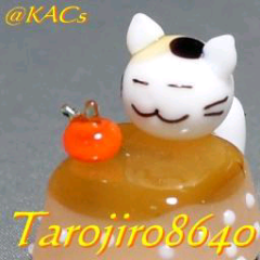 たろじろ