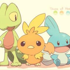 【ポケモン】バイトオブホウエン