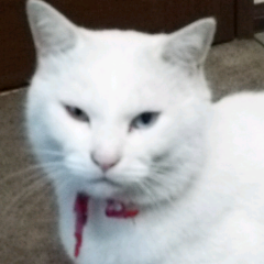 セカオワサイコー