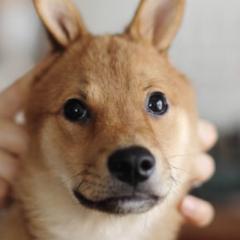 おくのトーク