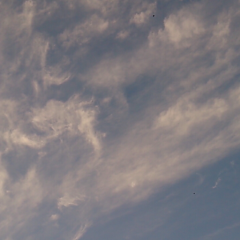 北海道の中３(。-∀-)