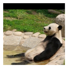 ふるやまのゆるーいはなし