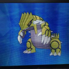 ポケモン闇交換取り引き場所