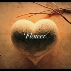 E-girlsでほしい画像ありますか？