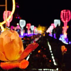 リトーク用のルーム。