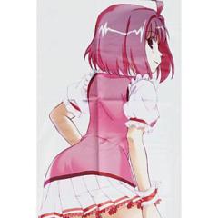 ドリスタ抱き枕大人ミントをもらったんだが。買いたい人ー？