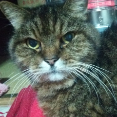 なんでもいいけど、、、