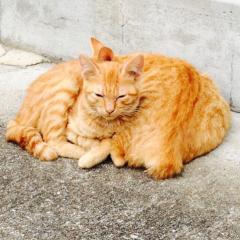 Forever21なんていう戯言