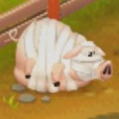 ちゃあちゃんのトーク