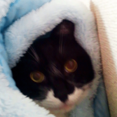 まみーじょ☆mamiko☆のトーク