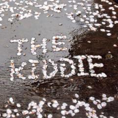 (∩｡･ω･｡)⊃━♡°.*･｡