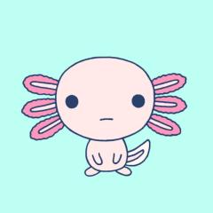 …＊♪✧☆♥♡ウーパールーパーズ♡♥☆✧♪＊…