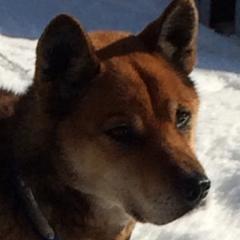 キマンのトーク