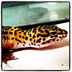 だーいしのあさみーちやん。トーク