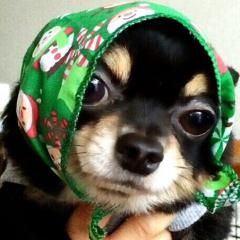 りょうた