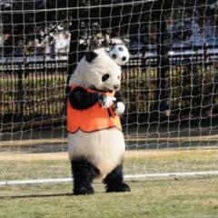 やとぬまるのトーク