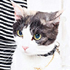 まりら('ー ' *)