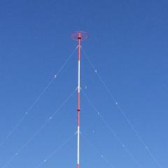 スターホースのプレミアカップで誰かチームに入ってくれる人募集中！