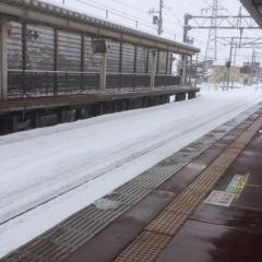 山形出身いない？