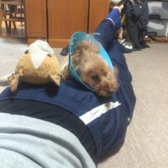 方言たっぷりな子きて！女の子可愛い方言聞かしてや♡