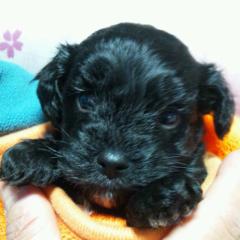 よろしくです♪