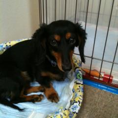 たけけろのトーク