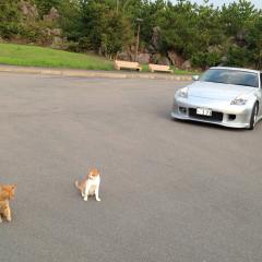 しもいけかずやん