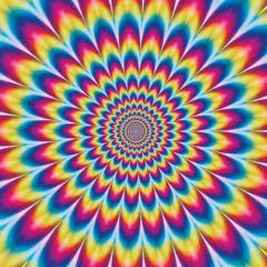 名古屋お野菜(  ❛⃘ ∨ ❜⃘⃘ )੭