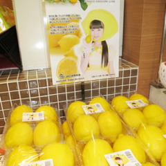 みおりん推し関西人の独り言