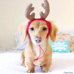 ふりーとーく😁