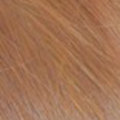 みやりょーのトーク