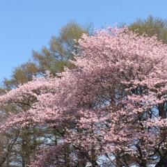 中学生雑談トーク