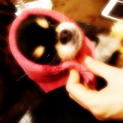 暇な人はなそ\♡/