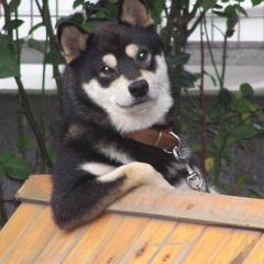 気軽に相談してもいい会