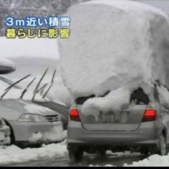 裏•株式会社こもたろう筆頭株主会( ￣▽￣)