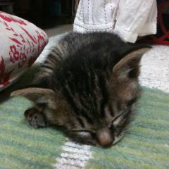 西村ヒロチョです☆