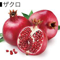 リトーク屋 ザクロ