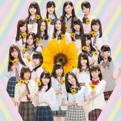 AKB48の生写真専用トレ