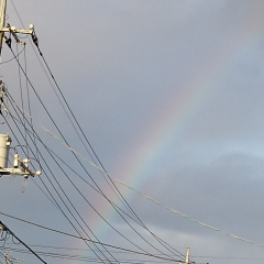 今日も何もなく終わっていく…