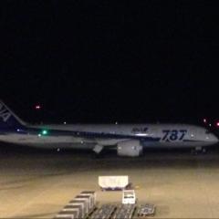 こい 787