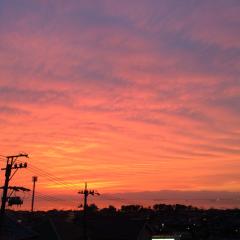 やまぴーとかにちゃん