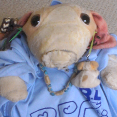 きくちゃんのトーク