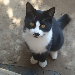 ｷ～ﾁのトーク